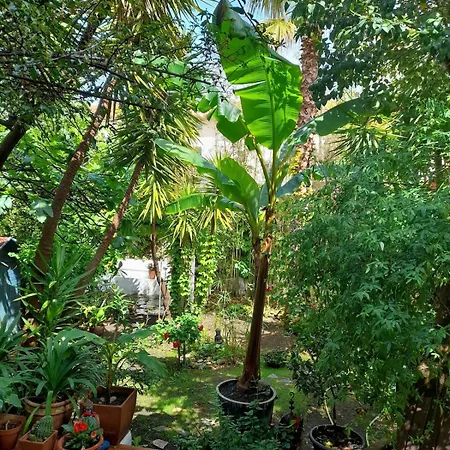Maison Avec Jardin à Louer Au Bord De La *