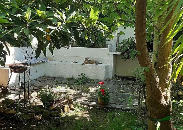 Maison Avec Jardin A Louer Au Bord De La بيت للعطل *