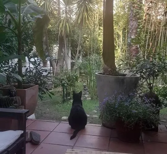 بيت للعطل Maison Avec Jardin A Louer Au Bord De La *