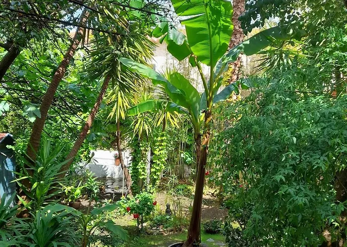 Maison Avec Jardin A Louer Au Bord De La *