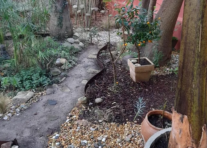 Maison Avec Jardin A Louer Au Bord De La