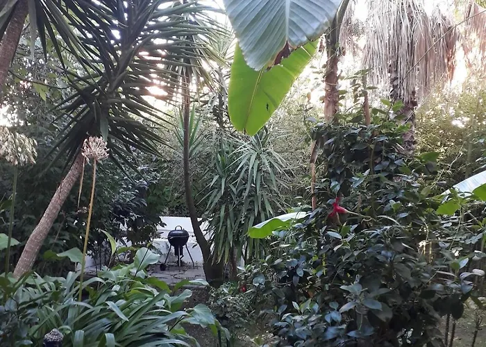 بيت للعطل Maison Avec Jardin A Louer Au Bord De La أرجيليه- سور- مير